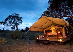 Offbeat Mara Camp, Masai Mara