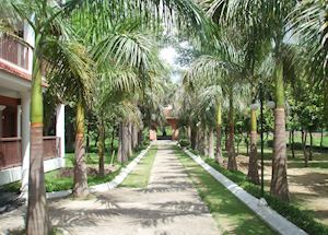 East grounds and gardens