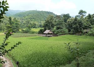 Kamu Lodge