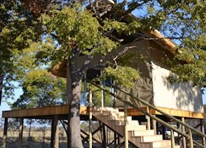 Elephant's Eye,Hwange National Park