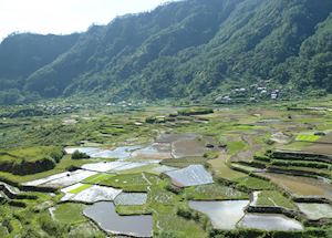 Masferré Country Inn,Sagada