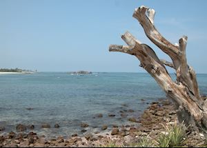 Beach view from the Four Seaons, Punta Mita