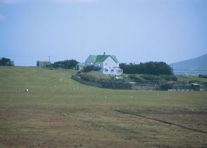 Pebble Lodge, Pebble Island