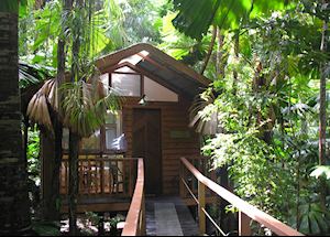 Bungalow, Daintree Wilderness Lodge