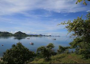 Komodo archipelago, Indonesia
