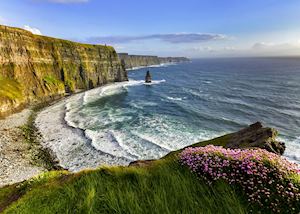 Cliffs of Moher at sunset