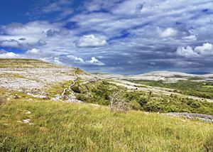 Limestone landscape in the Burren
