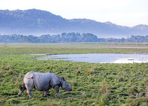 Kaziranga National Park