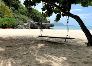 Shady swing in Angthong National Marine Park