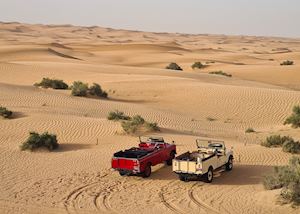 The 1950s Land Rovers in the desert