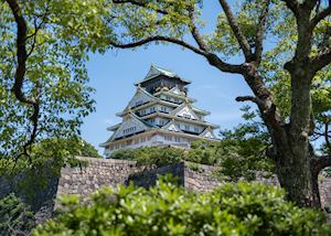 Osaka Castle during summer