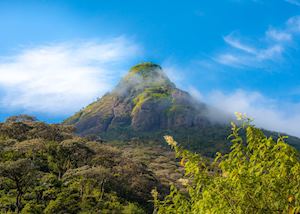 Adam's Peak, Sri Lanka