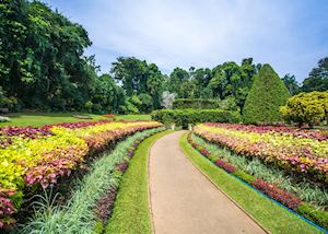 Royal Botanic Gardens Peradeniya, Kandy