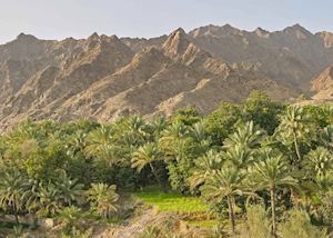 Wadi Maydaq, Fujairah