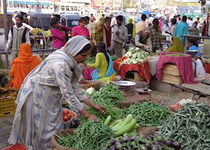 Buying the vegetables at the market, Udaipur