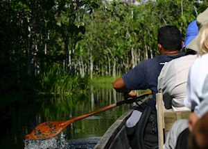 En route to Sacha Lodge, Ecuadorian Amazon