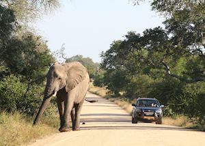 Self-driving in Kruger National Park