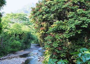 Tangkahan, Indonesia