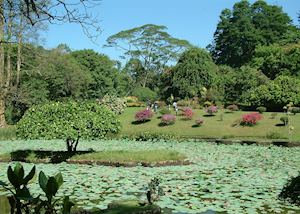 Botanical Gardens, Kandy