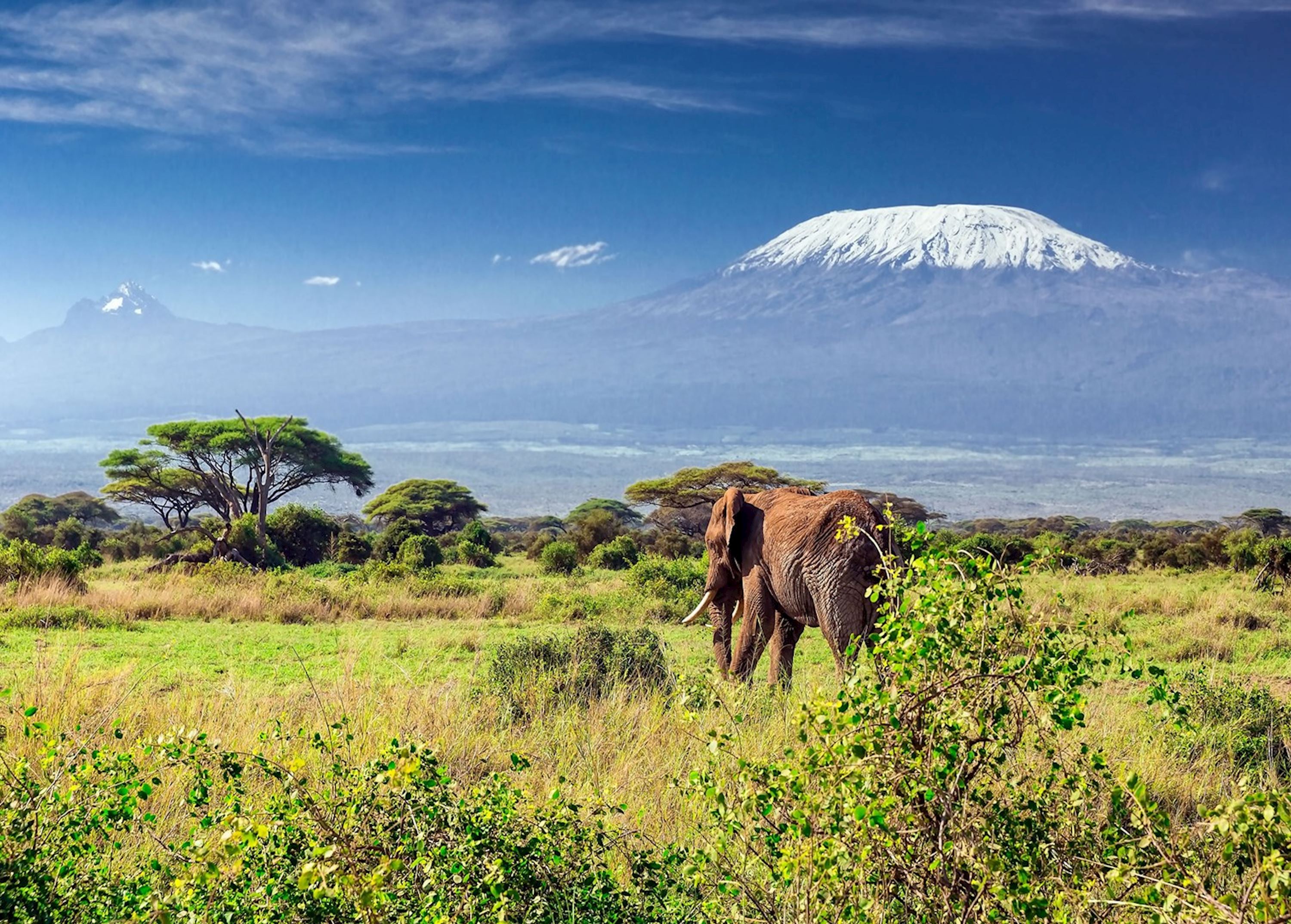 mount kilimanjaro safari