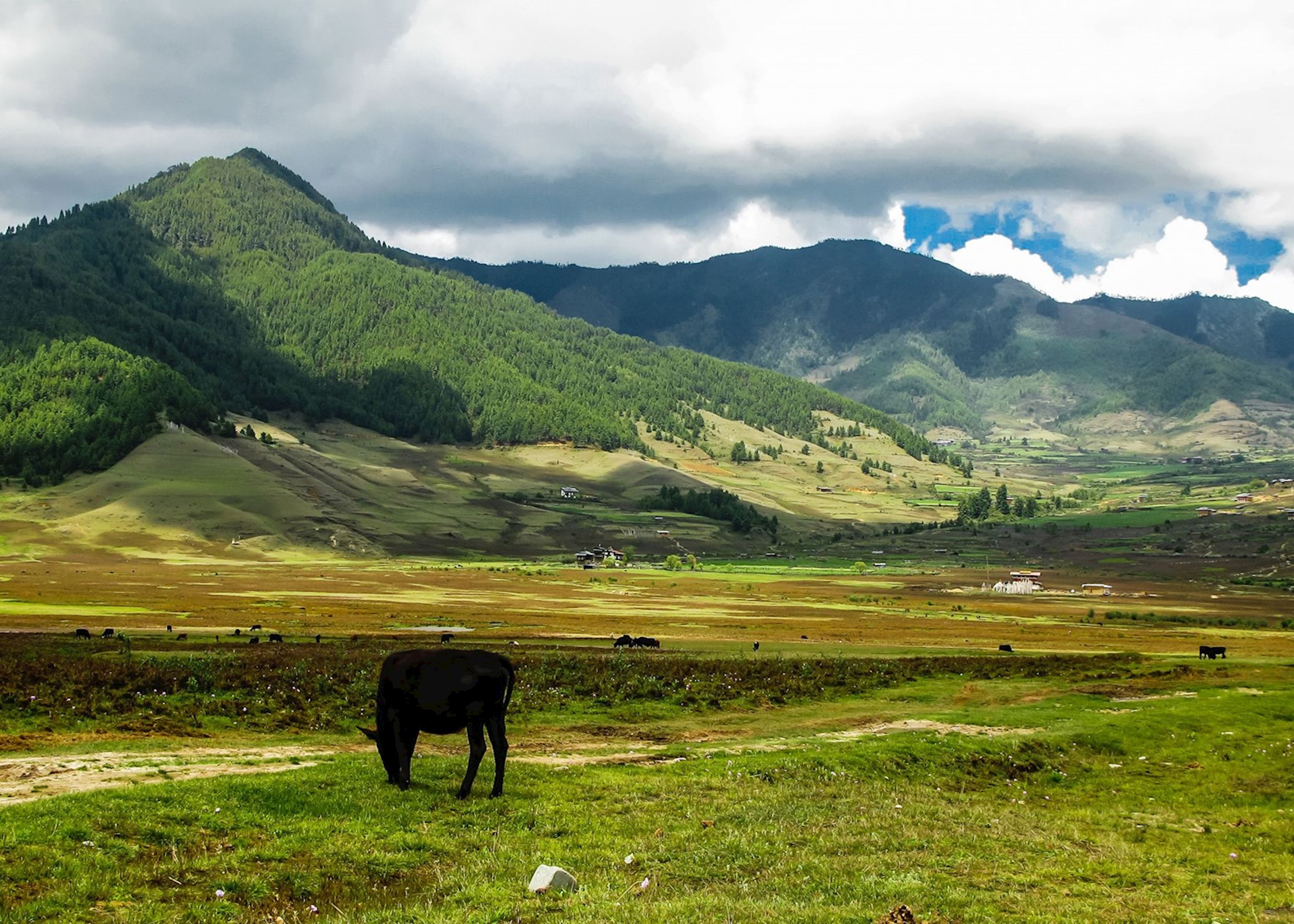 Visit Phobjikha Valley On A Trip To Bhutan Audley Travel UK Visit Phobjikha Valley On A Trip To Bhutan Audley Travel UK