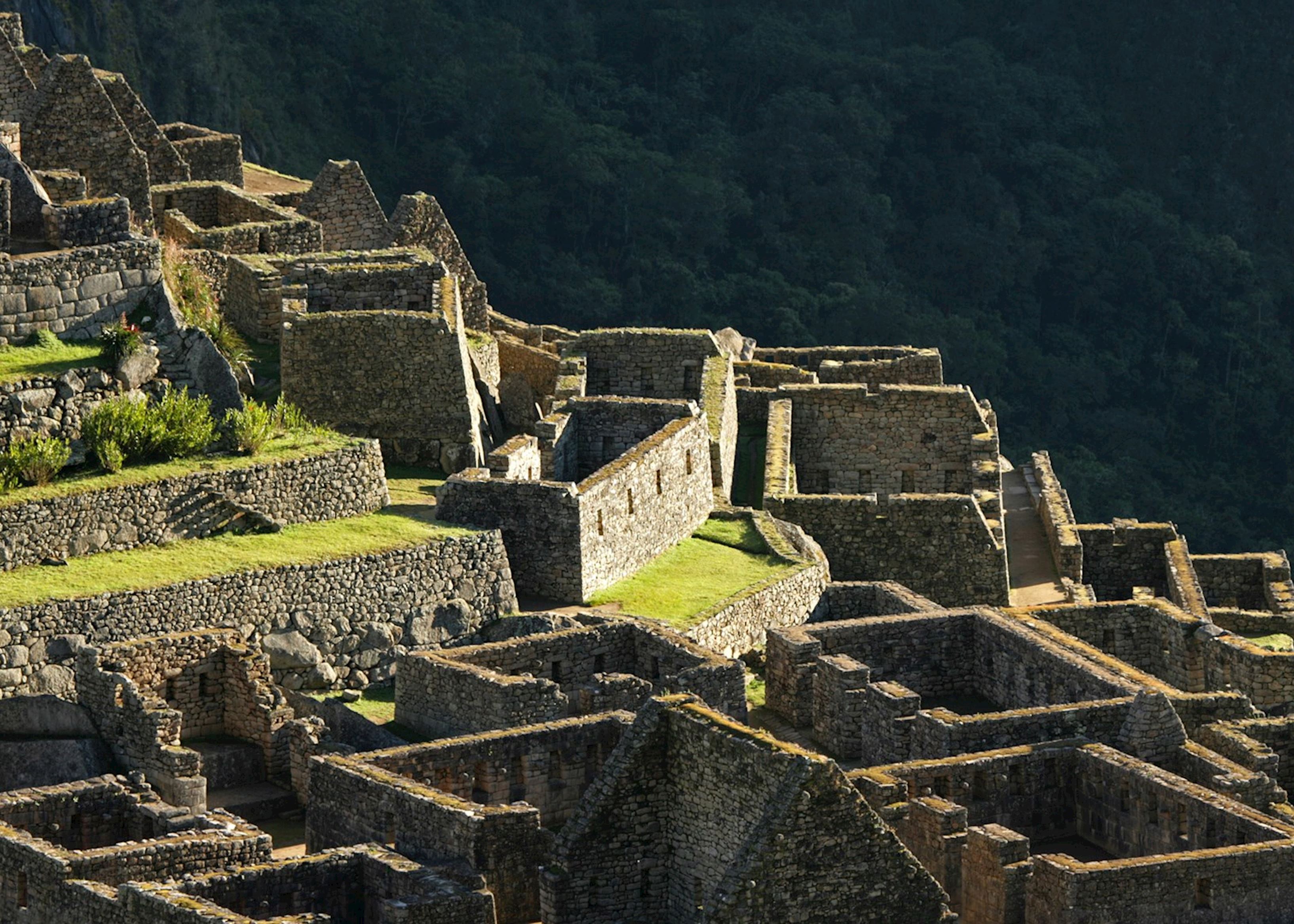 Inca Social Pyramid