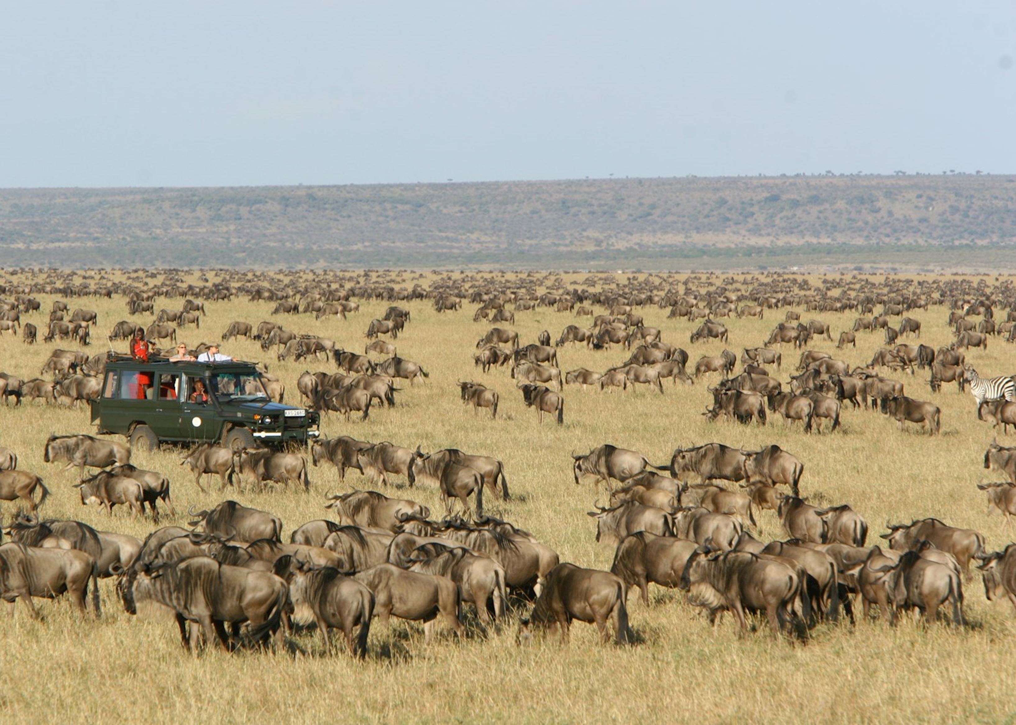 Africa's Great Wildebeest Migration | Audley Travel