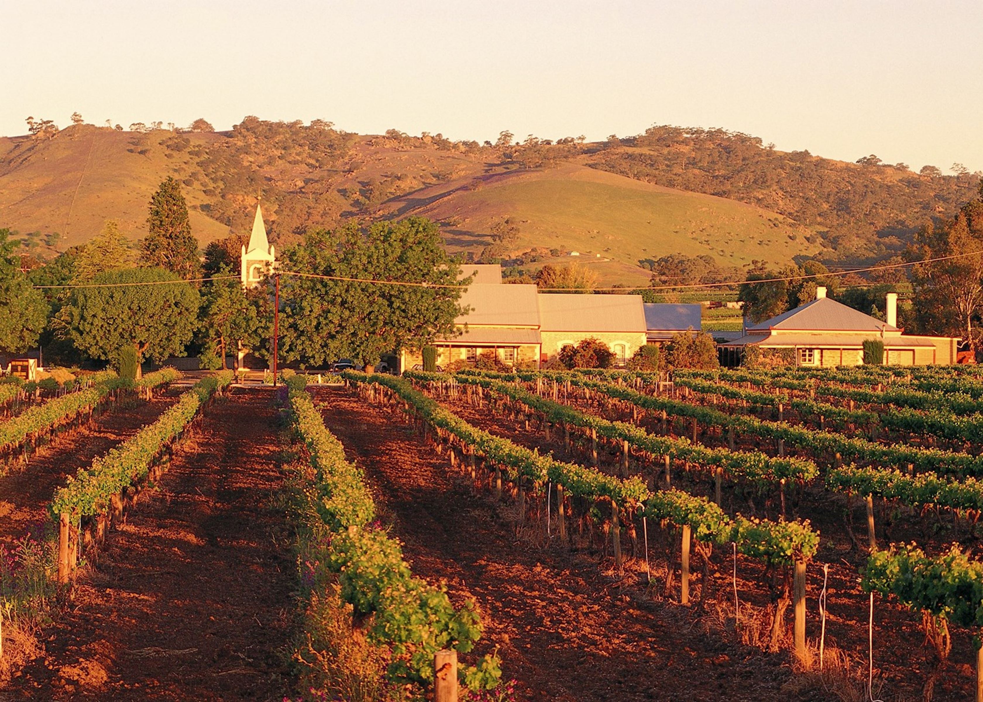 tours to barossa valley from adelaide