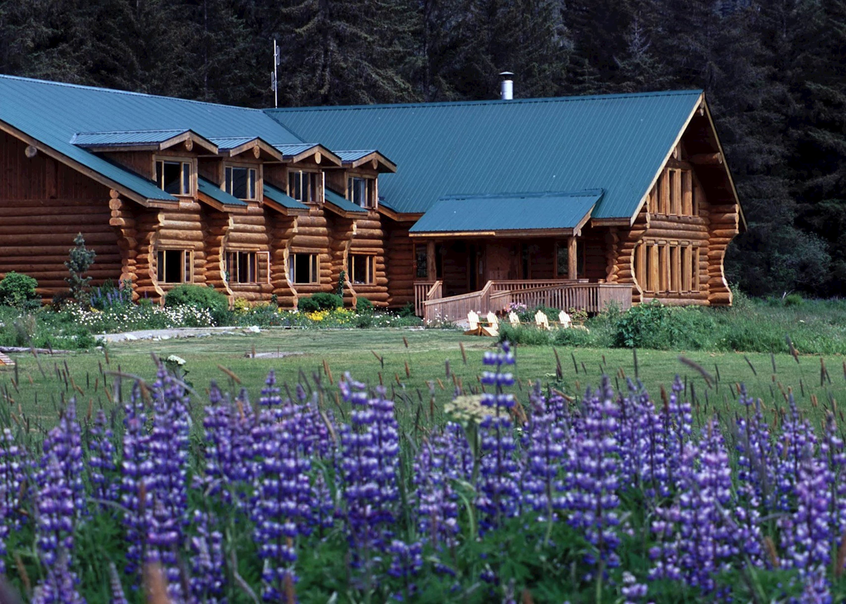 Bear Track Inn Hotels in Gustavus Audley Travel