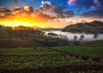 Angkhang Nature Resort, Thailand