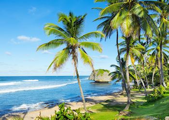 Eastern coastline, Barbados