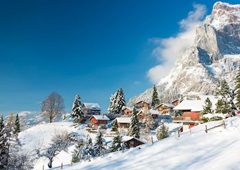 The Swiss Alps