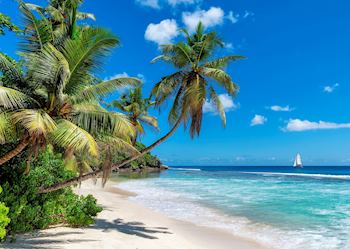 Jamaican beach