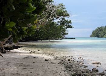 Madang Coast, Papua New Guinea