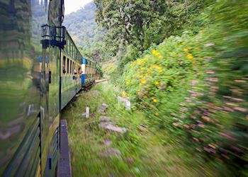 Toy train to Ooty (Blue Mountain Railway), Coonoor