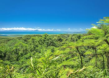 Cape Tribulation