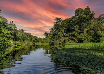 Canal in Tortuguero National Park