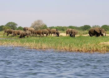 Lower Zambezi National Park, Zambia