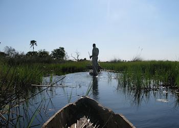Mokoro trips in the Okavango Delta