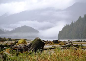 Great Bear Rainforest (klemtu), Canada