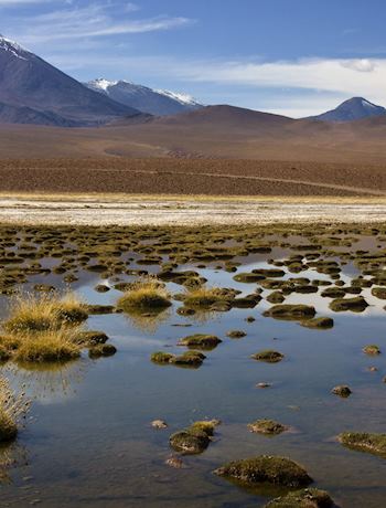 Chile Vacations 2024 & 2025 - Tailor-Made from Audley Travel US