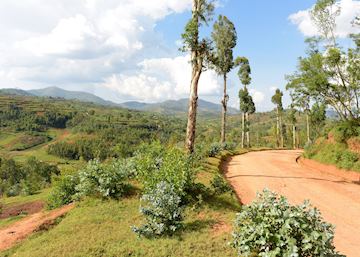Places to Visit in Rwanda | Tailor-made Trips | Audley Travel UK