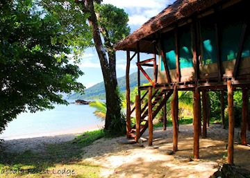 Visit Masoala National Park, Madagascar | Audley Travel UK