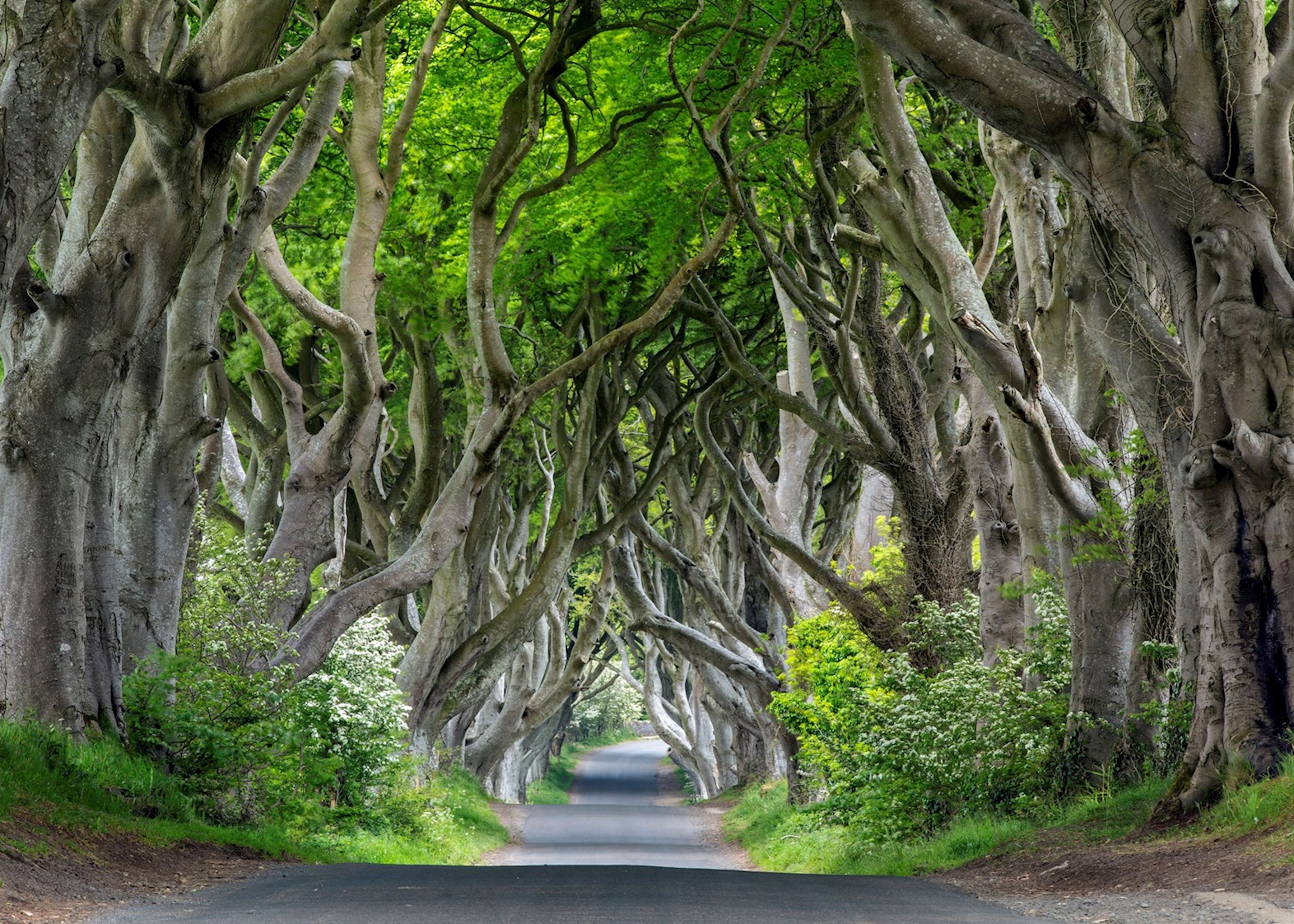 Where to visit Game of Thrones filming locations | Audley Travel CA