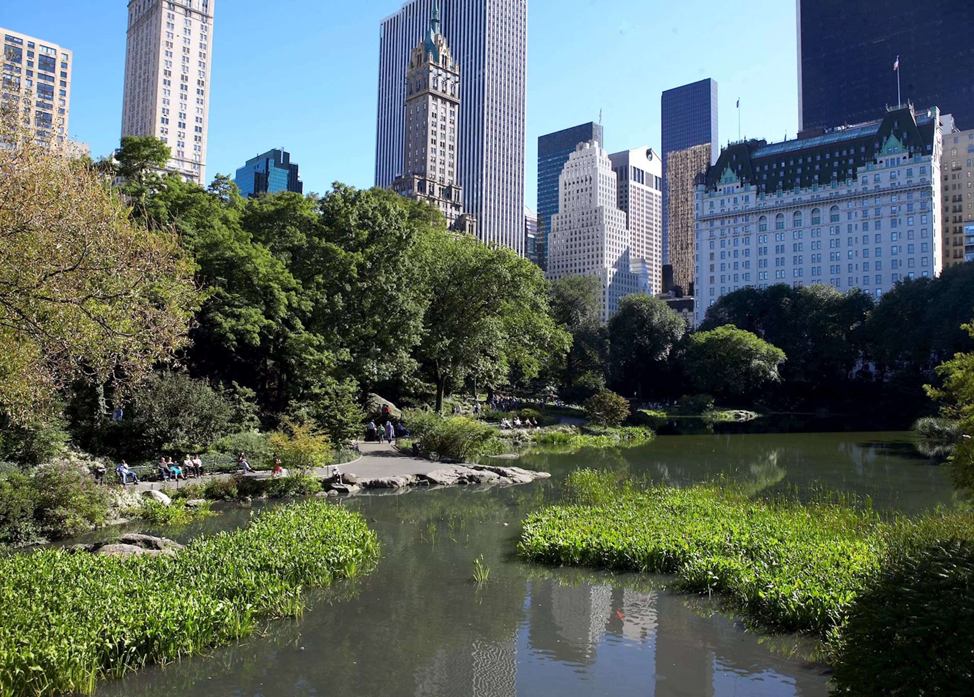 Interest park. Парк в Нью-Йорке. Central Park Нью Йорк. Центральный парк, Нью-Йорк, США. Парк Манхэттен Нью-Йорк.