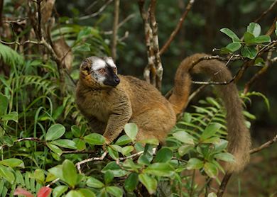 Madagascar's southern national parks | Audley Travel UK