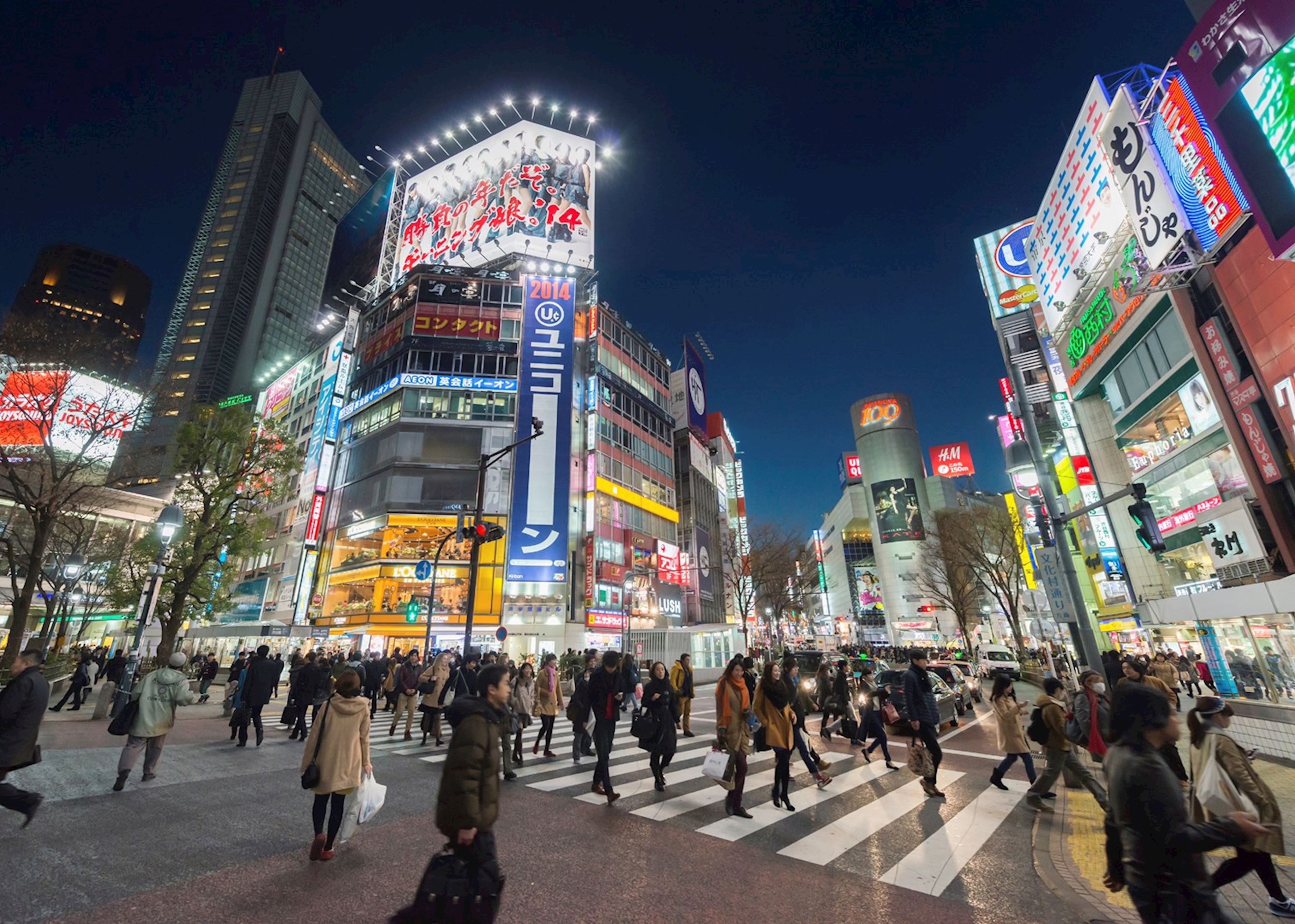 tourist spot near shinjuku city tokyo