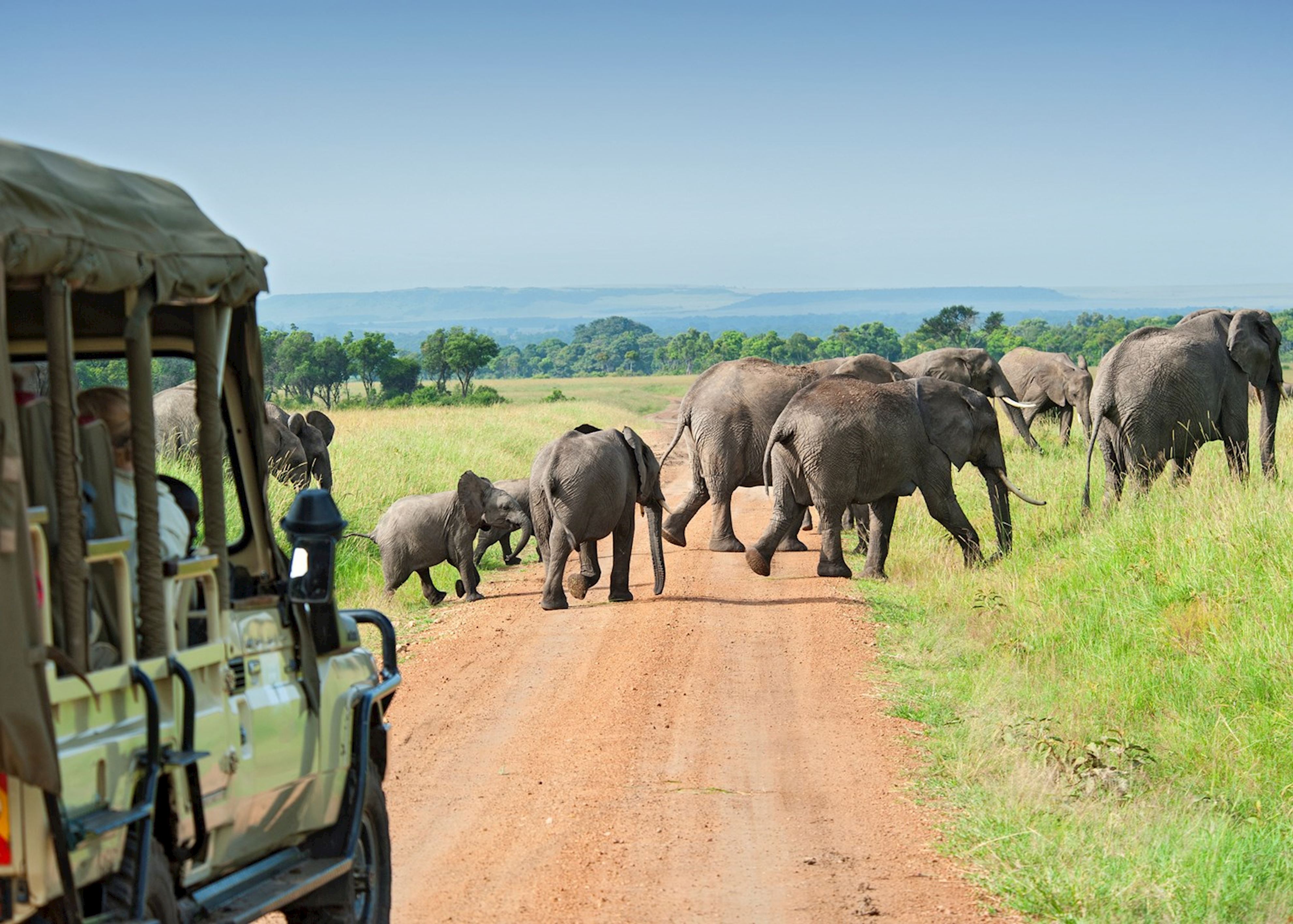 best safari areas in africa
