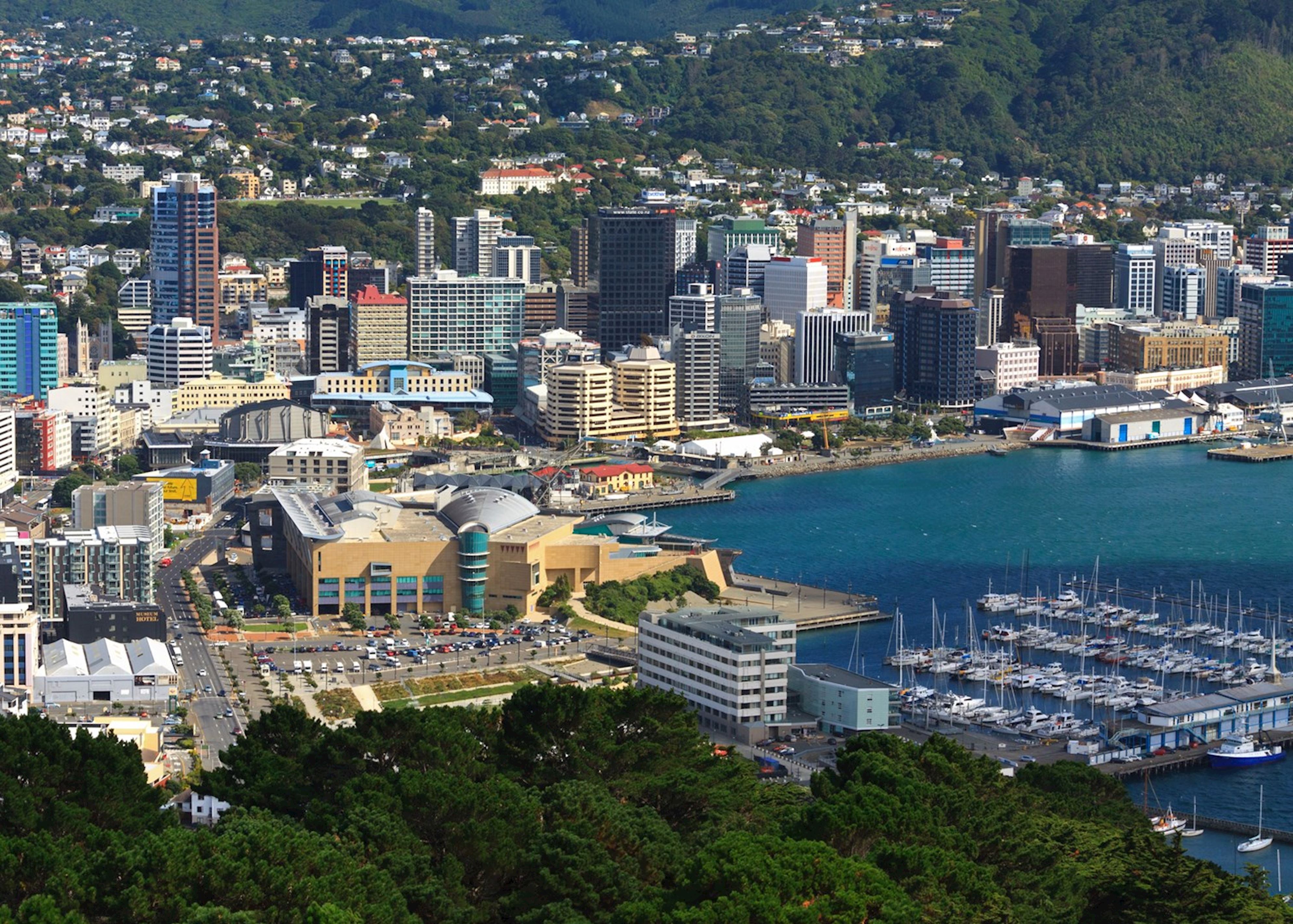感受强劲有力的城市脉搏——新西兰首都惠灵顿 - 马蜂窝