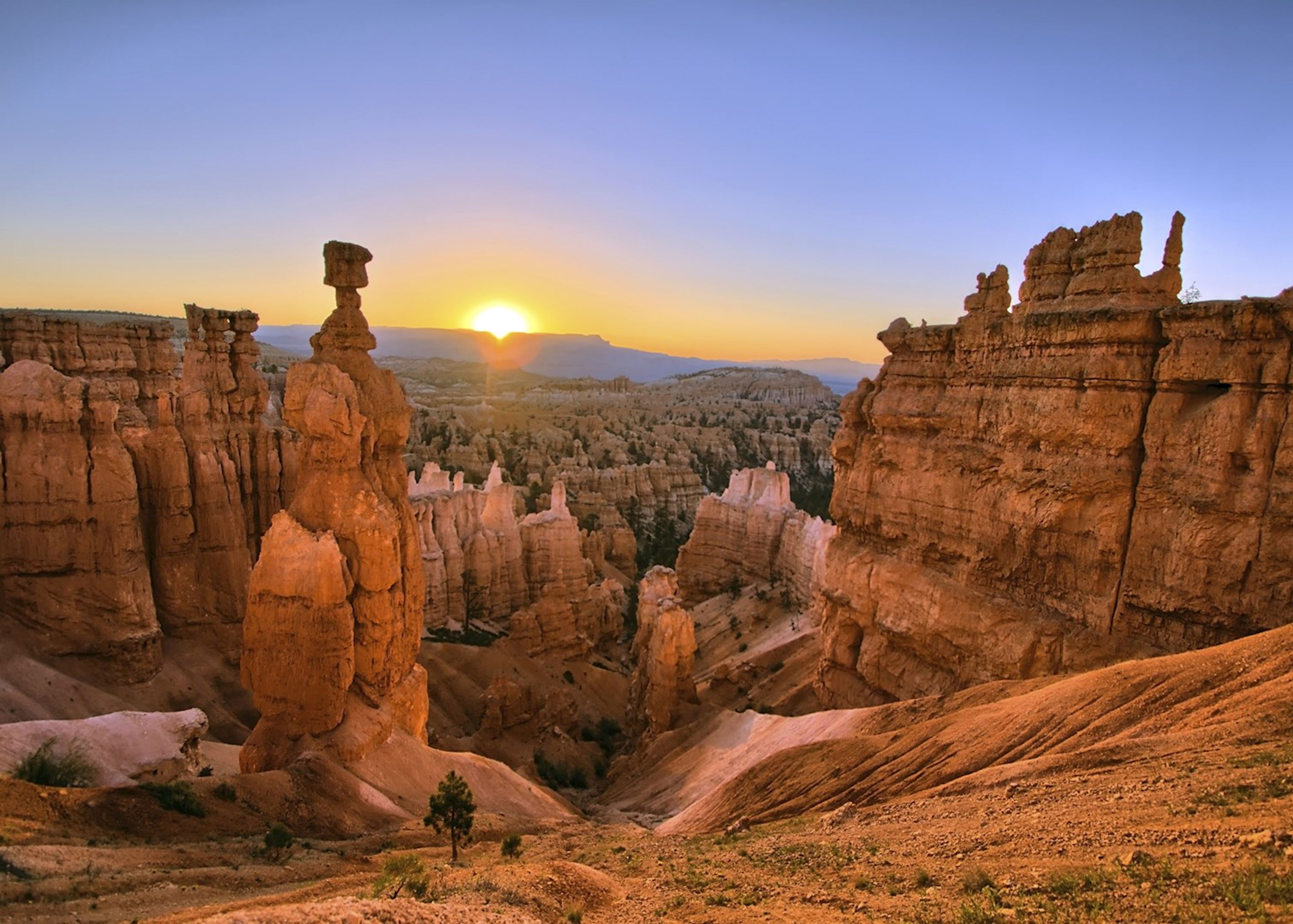 Colorado Parks and Wildlife on X: A Bronco sunset just in time